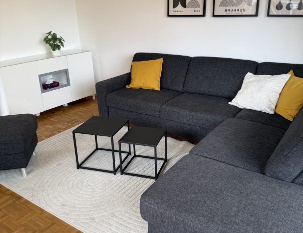 Wohnzimmer1